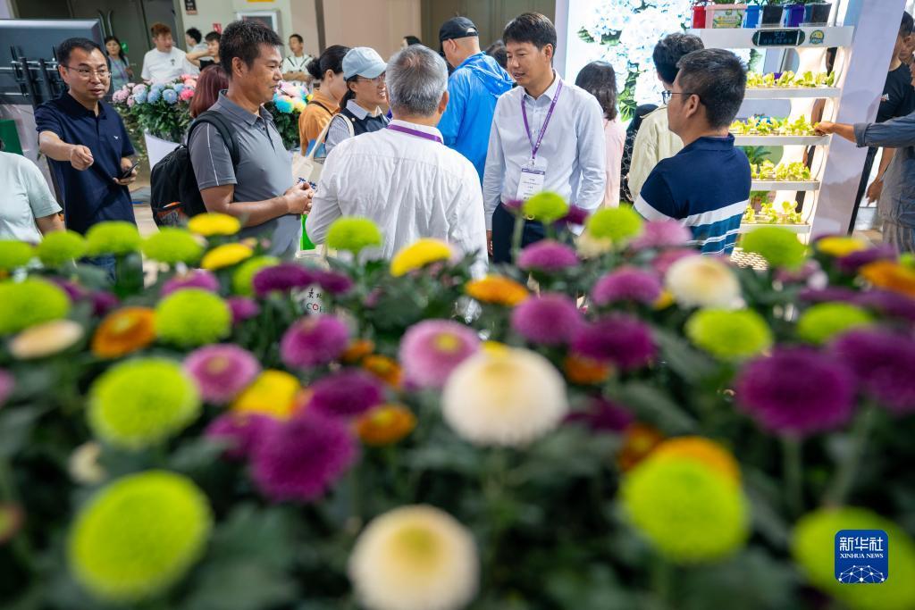 喜来登平台下载